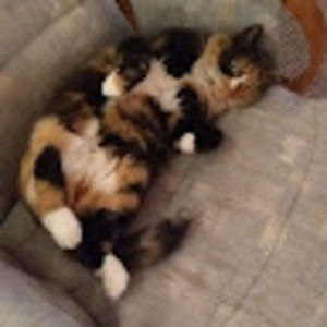 Meet your Posher, Valerie